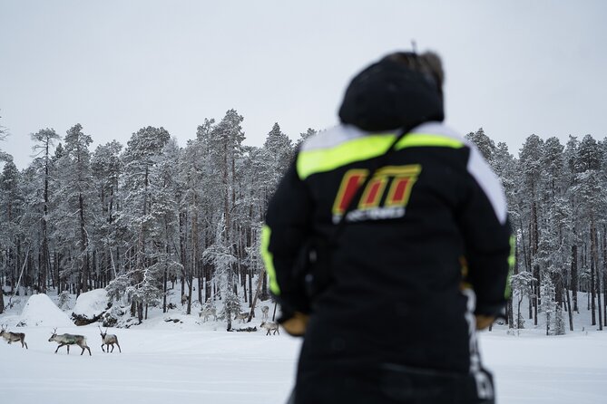Ivalo: Reindeer herd and fishing experience - The 8 a.m. start and ride into the forest