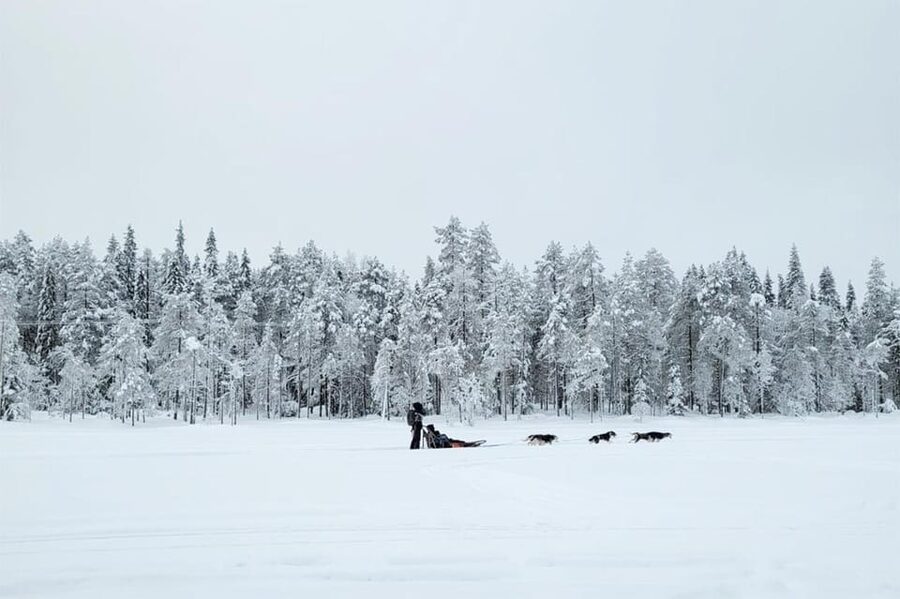 Kemi-Tornio: Husky Sled Ride with Hot Drink - The safety briefing makes the ride possible