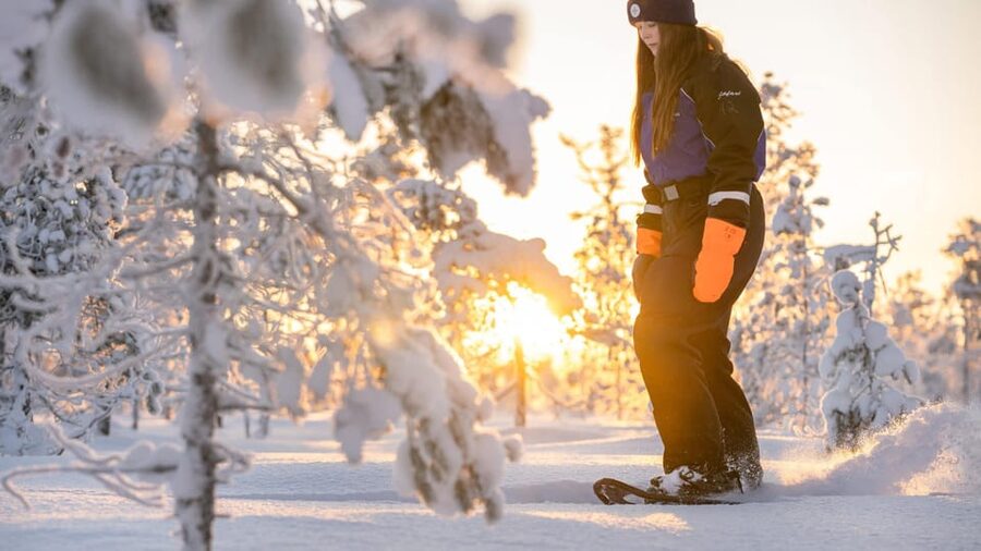 Kemi-Tornio: Nature tour with snowshoes - Key points at a glance