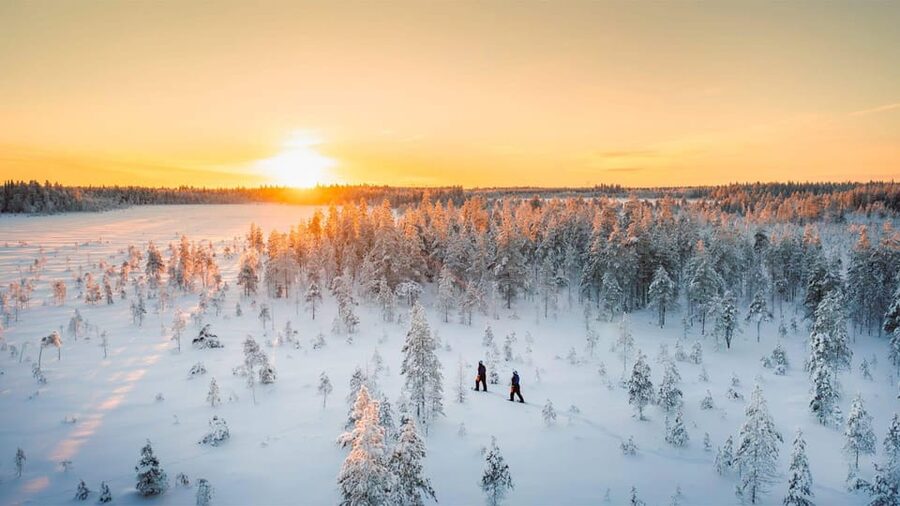 Kemi-Tornio: Nature tour with snowshoes - Arctic wildlife without a zoo visit