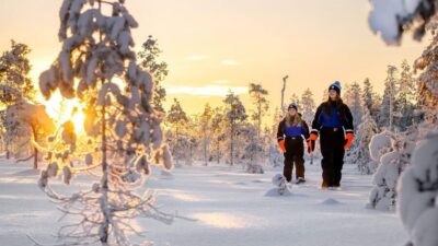 Tornio: Nature tour with snowshoes