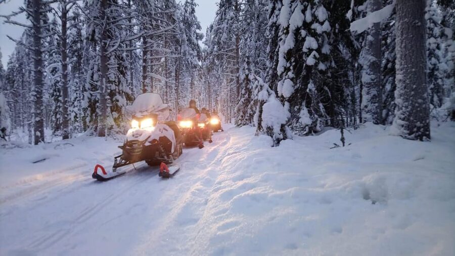 Kemi-Tornio: Snowmobile Forest Safari w/ Hot Drink & Snacks - Key points to know before you book