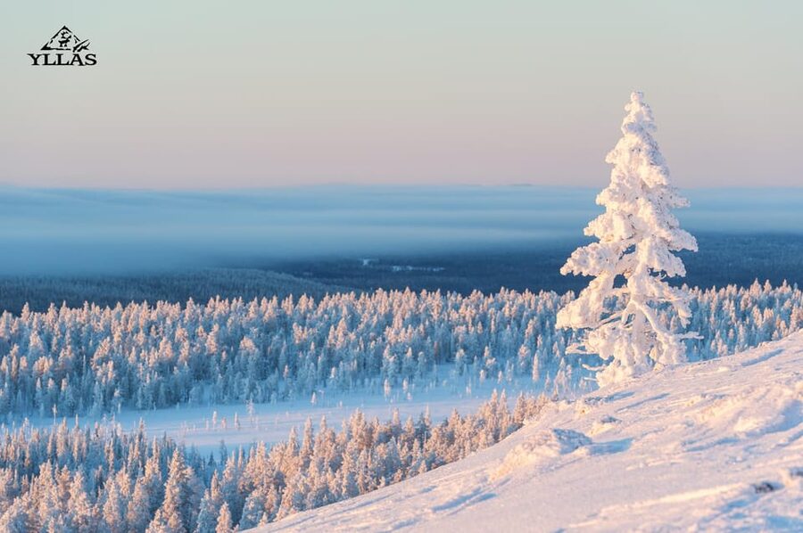 King of Ylläs: Snowmobiling to the Hill - Through snowy forest and frozen marsh