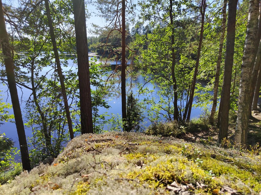 Kintulammi Nature Experience (Nature reserve near Tampere) - Should you book Kintulammi?