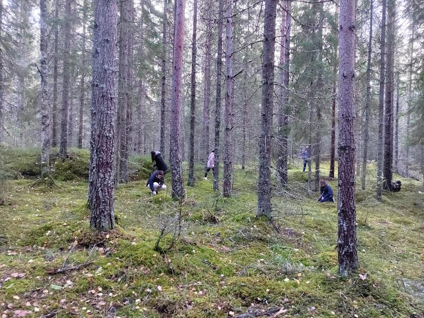 Kintulammi Nature Experience (Nature reserve near Tampere) - The first stop is only 300 metres away