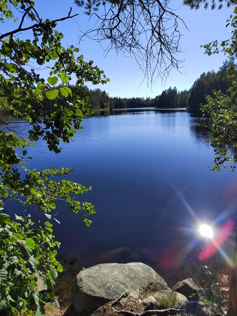 Kintulammi Nature Experience (Nature reserve near Tampere) - Forest walks with room to adjust
