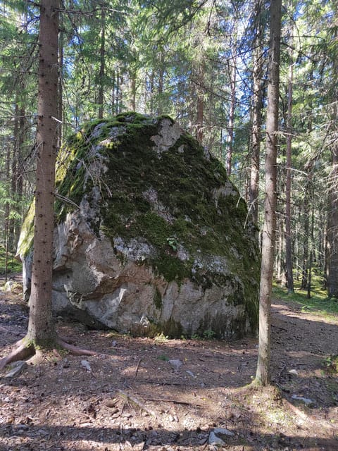 Kintulammi Nature Experience (Nature reserve near Tampere) - Cooking lunch at a Finnish kota