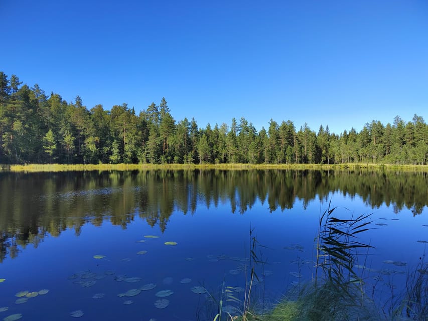 Kintulammi Nature Experience (Nature reserve near Tampere) - Practical details to settle before you go