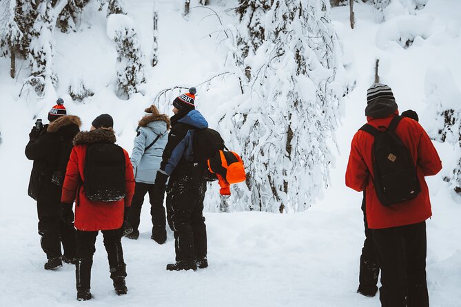 Korouoma Canyon Frozen Waterfalls - Who will enjoy this hike most?