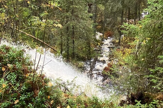 Korouoma Canyon: Frozen Waterfalls Hike & BBQ Experience - A wood-fire BBQ in the middle of the day