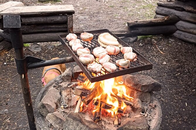 Korouoma Canyon: Frozen Waterfalls Hike & BBQ Experience - Is $153.79 a fair price?