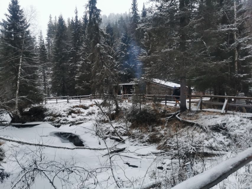 Korouoma Canyon Frozen Waterfalls Hike & Private Teepee BBQ - The Rovaniemi pickup keeps the day simple