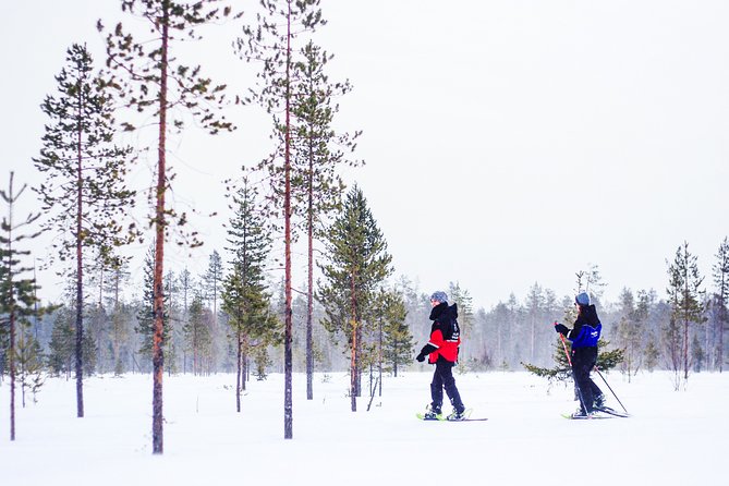 Korouoma Canyon Snowshoe Trip - Key points to know before you book