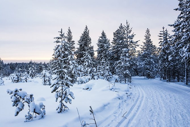 Korouoma Canyon Snowshoe Trip - Who should book this canyon trip