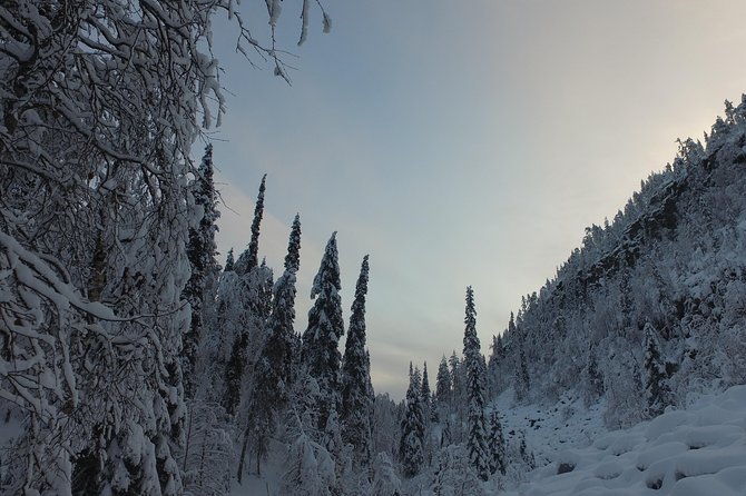 Korouoma national park and frozen waterfalls hiking tour - Who should book this winter hike?