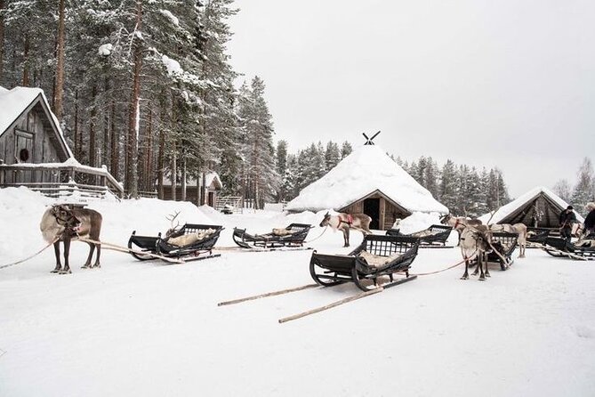 Kuoksa Reindeer Farm Visit with a Short Sleigh Ride - Key points at a glance