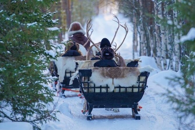 Kuoksa Reindeer Farm Visit with a Short Sleigh Ride - A short ride through snowy Finland