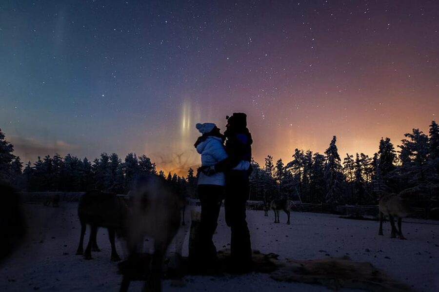 Kuusamo: Reindeer Farm Visit - Why the lichen feeding session works so well