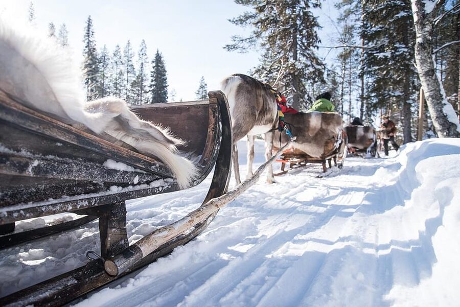 Kuusamo: Reindeer Sleigh Ride and Farm Visit - What the 1.5 km sleigh ride feels like