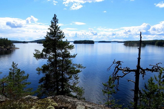 Lake Saimaa Small-Group Cruise with Stories and Music - Coffee, WiFi, and the small details