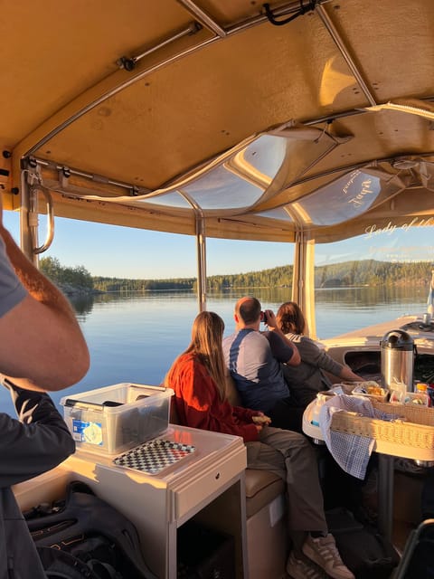 Lake Saimaa story cruise by Ecoboat in Puumala - Watching for the Saimaa seal