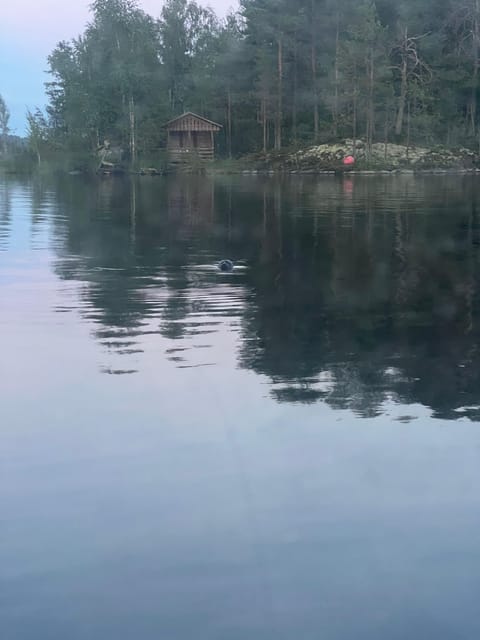 Lake Saimaa story cruise by Ecoboat in Puumala - Leaving from Puumala harbor