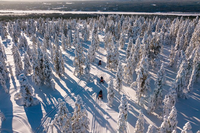 Lapland Family Snowmobile Safari from Rovaniemi - From Rovaniemi hotels to the Arctic Lifestyle Safarihouse