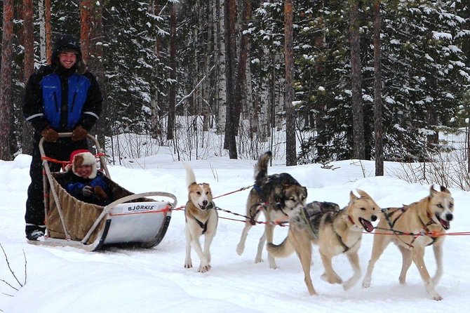 Lapland Husky Safari from Saariselkä - What the small group size changes