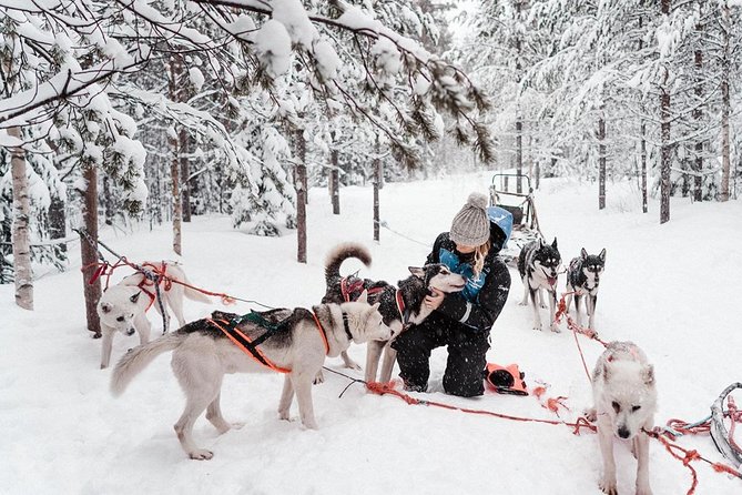 Lapland Husky Safari from Saariselkä - Who will enjoy this husky safari