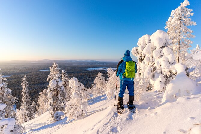 Lapland Ice Fishing Experience from Rovaniemi - How the guides shape the day