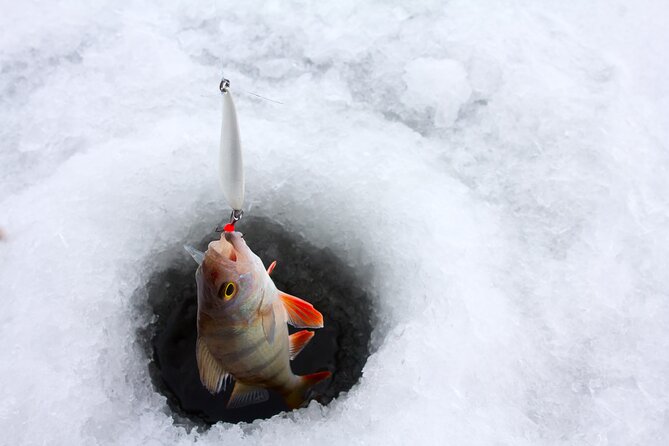 Lapland Ice Fishing Experience from Rovaniemi - Drilling through thick lake ice