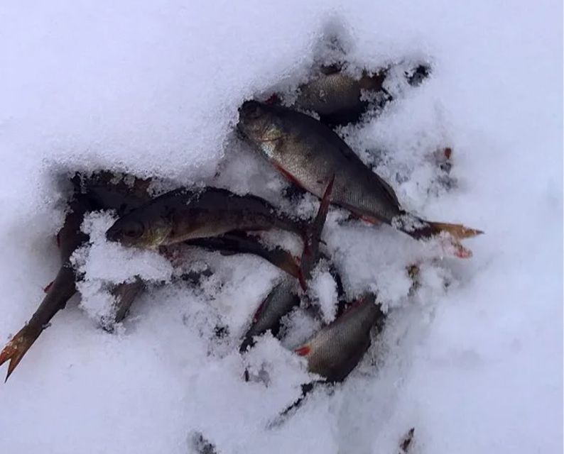 Lapland: Ice Fishing, Floating & BBQ Snow Adventure - Guides, photographs, and the human side of the outing