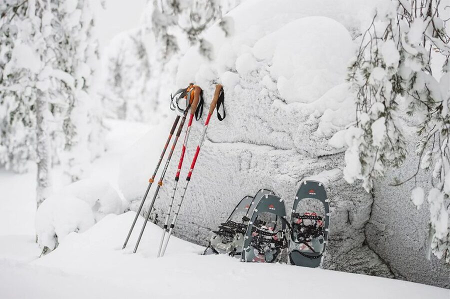Lapland: Ice Fishing, Floating & BBQ Snow Adventure - Booking details worth checking first