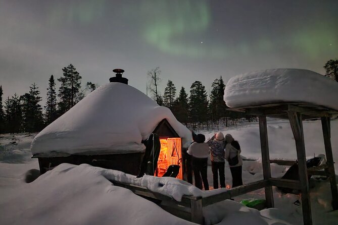 Lapland In A Day - Reindeer, Sledding, Snowmobile & Nature - A full Arctic sampler from central Rovaniemi