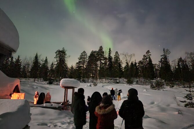 Lapland In A Day - Reindeer, Sledding, Snowmobile & Nature - Downhill sledding and the extra snow slide