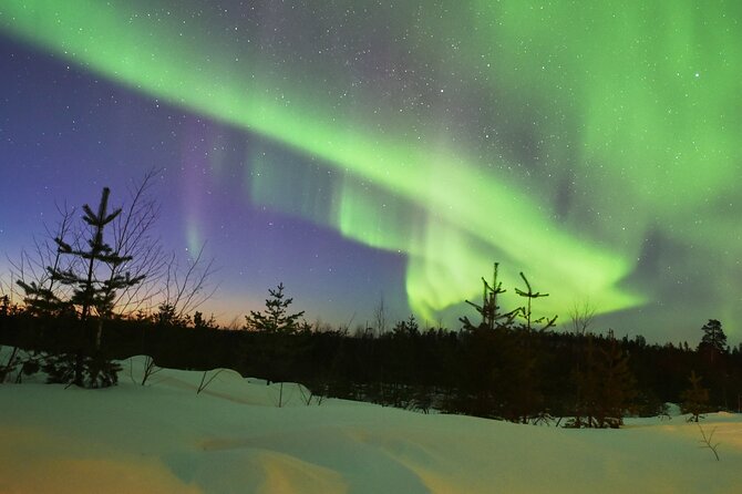 Lapland In A Day - Reindeer, Sledding, Snowmobile & Nature - Open fire, Lappish snacks, and a warm drink