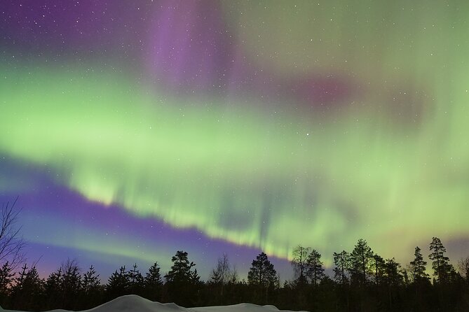Lapland In A Day - Reindeer, Sledding, Snowmobile & Nature - Group size, language, and fitness level