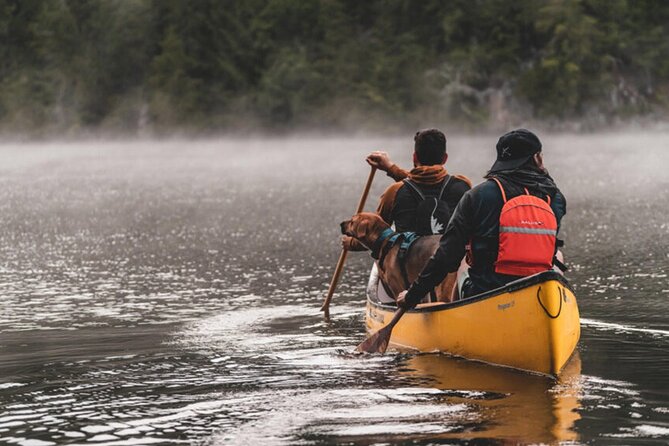 Lapland Kayak Adventure in Rovaniemi - Wildlife, quiet water, and the value of a slow stop