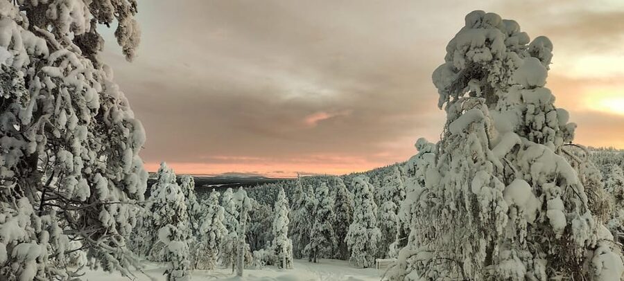 Lapland: Private Snowmobile Safari with arctic Local Guide - Starting near Luosto with a local family guide