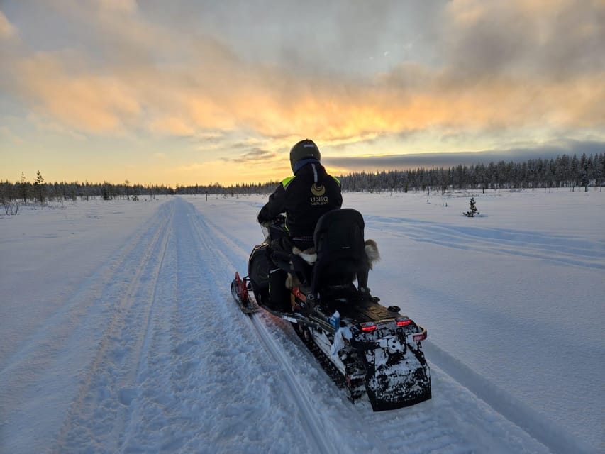 Lapland: Private Snowmobile Safari with arctic Local Guide - Who should book this snowmobile experience