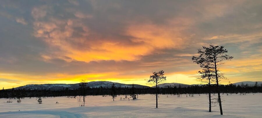 Lapland: Private Snowmobile Safari with arctic Local Guide - Warm clothing before you touch the throttle