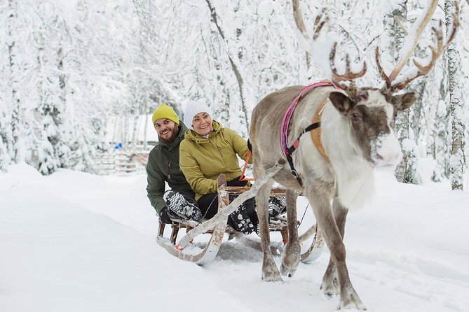 Lapland Reindeer and Husky Safari from Rovaniemi - The difference between the two animal visits