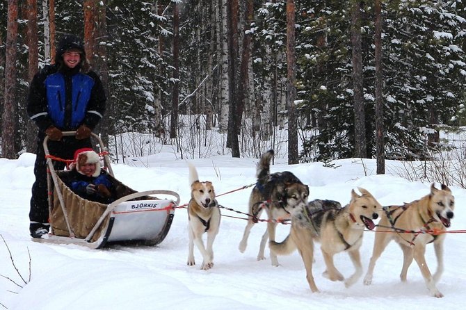 Lapland Reindeer and Husky Safari from Rovaniemi - Timing, pickup, and group size