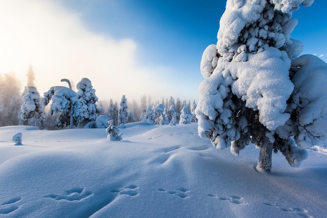 Lapland Snowmobile Safari from Levi - Setting out from Levi in full winter gear