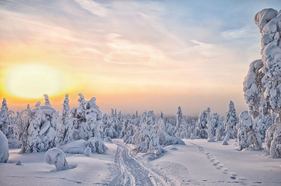 Lapland: The Frozen Waterfalls of Korouoma Tour - Who should book this Korouoma outing