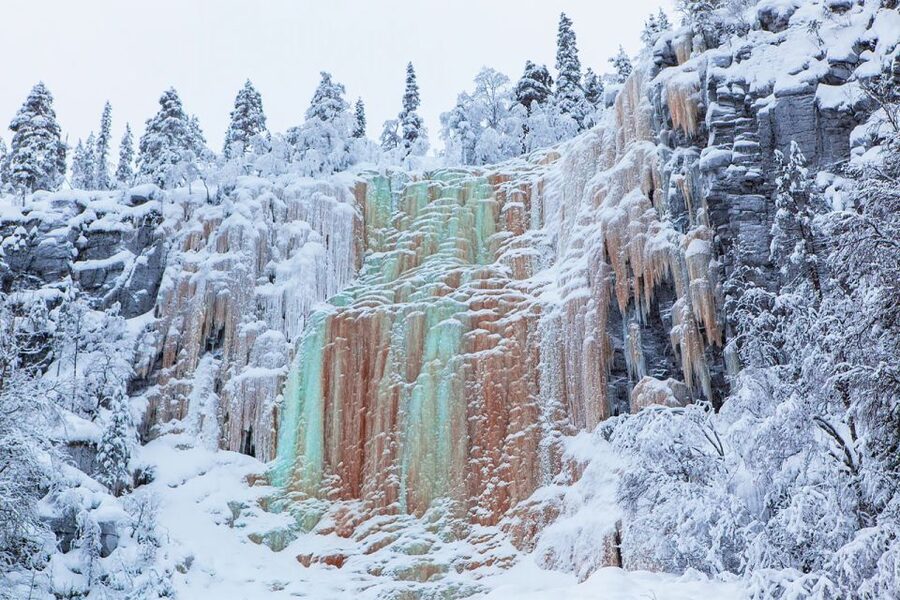 Lapland: The Frozen Waterfalls of Korouoma Tour - Getting ready for the snowy forest