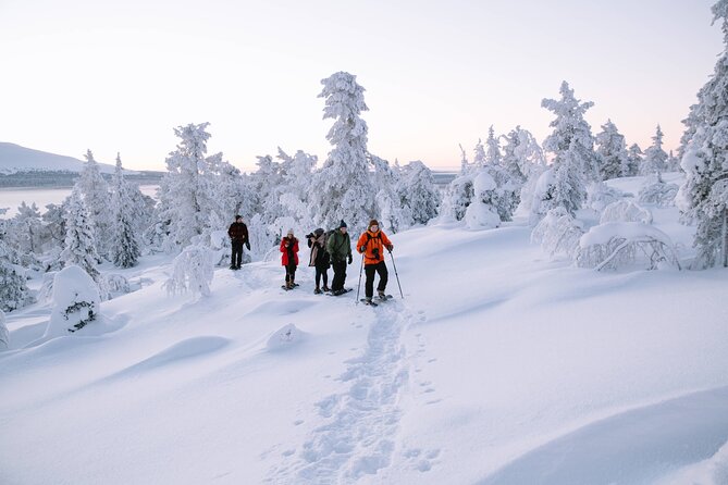 Lapland Winter Experience - Snowshoeing beyond Rovaniemi’s city streets