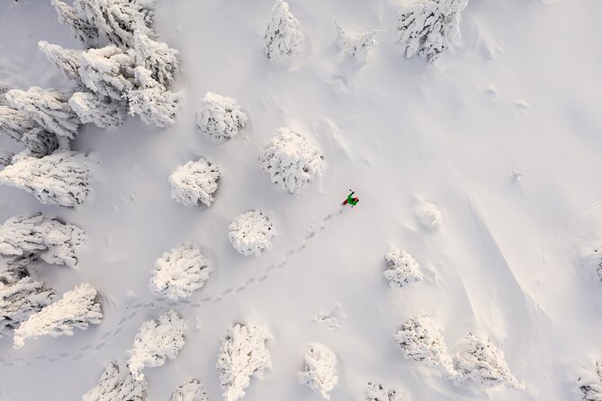 Lapland Winter Experience - The forest, frozen river, and viewpoint