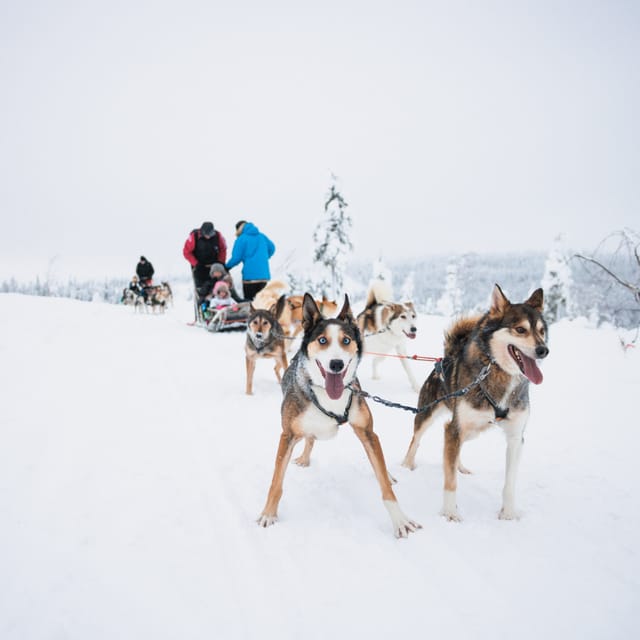 Levi: 15-Kilometres Self-Driving Husky Tour - Getting ready in winter clothing
