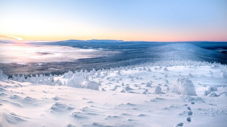 Levi: 4 Hour Snowmobile Safari to the Fells in Levi - The 20-minute café or Lapp-tent break